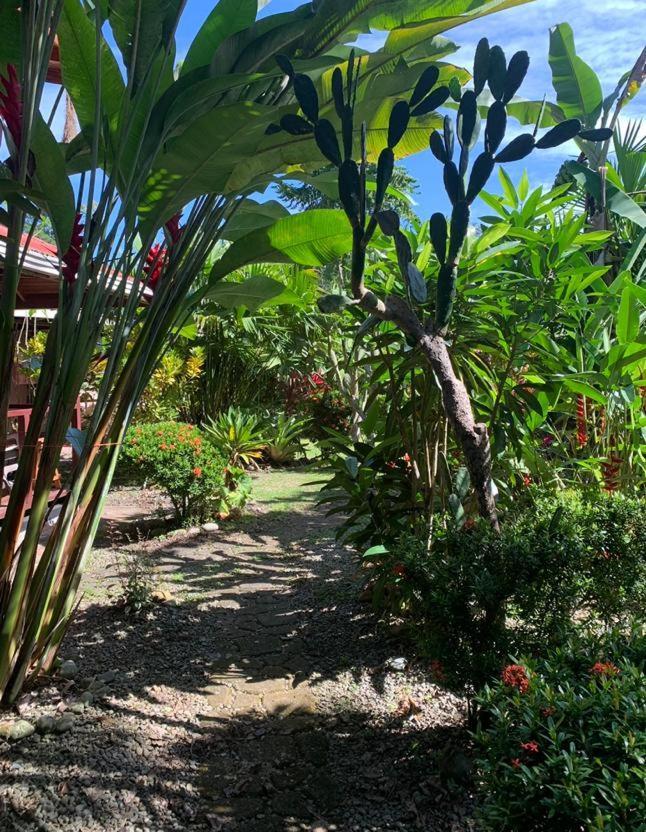 Casa Mambo Bed and Breakfast Cahuita Eksteriør billede